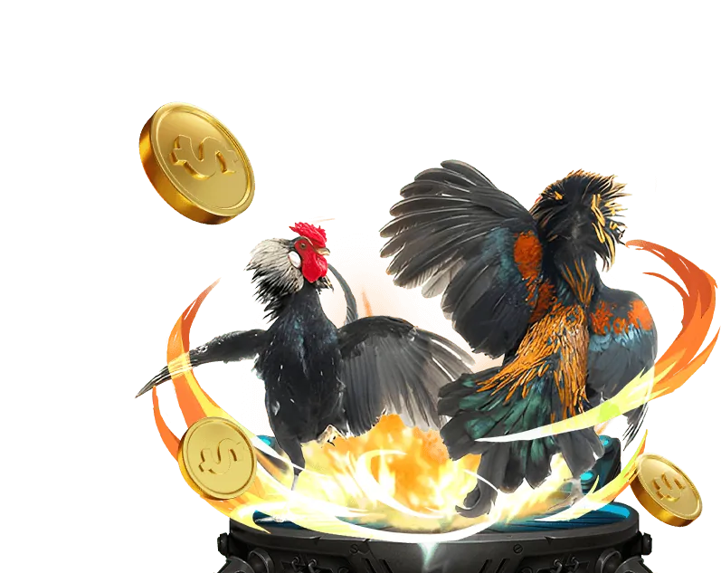 Chính sách hủy cược Hello88